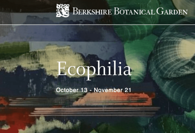 Screen Shot 2018-11-10 at 4.20.49 PM